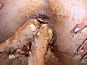 Interracian lesbians